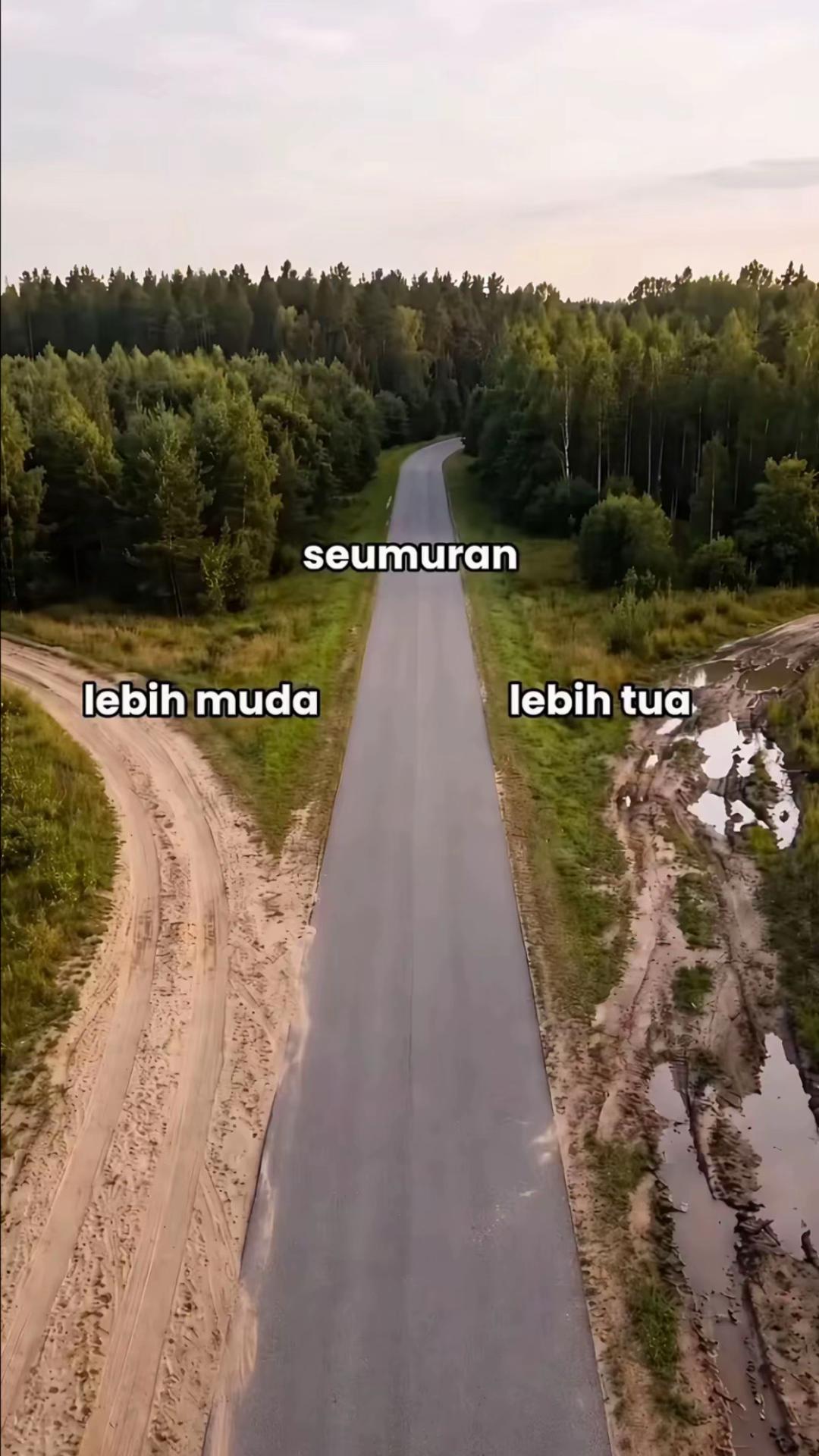@namaku_sasya