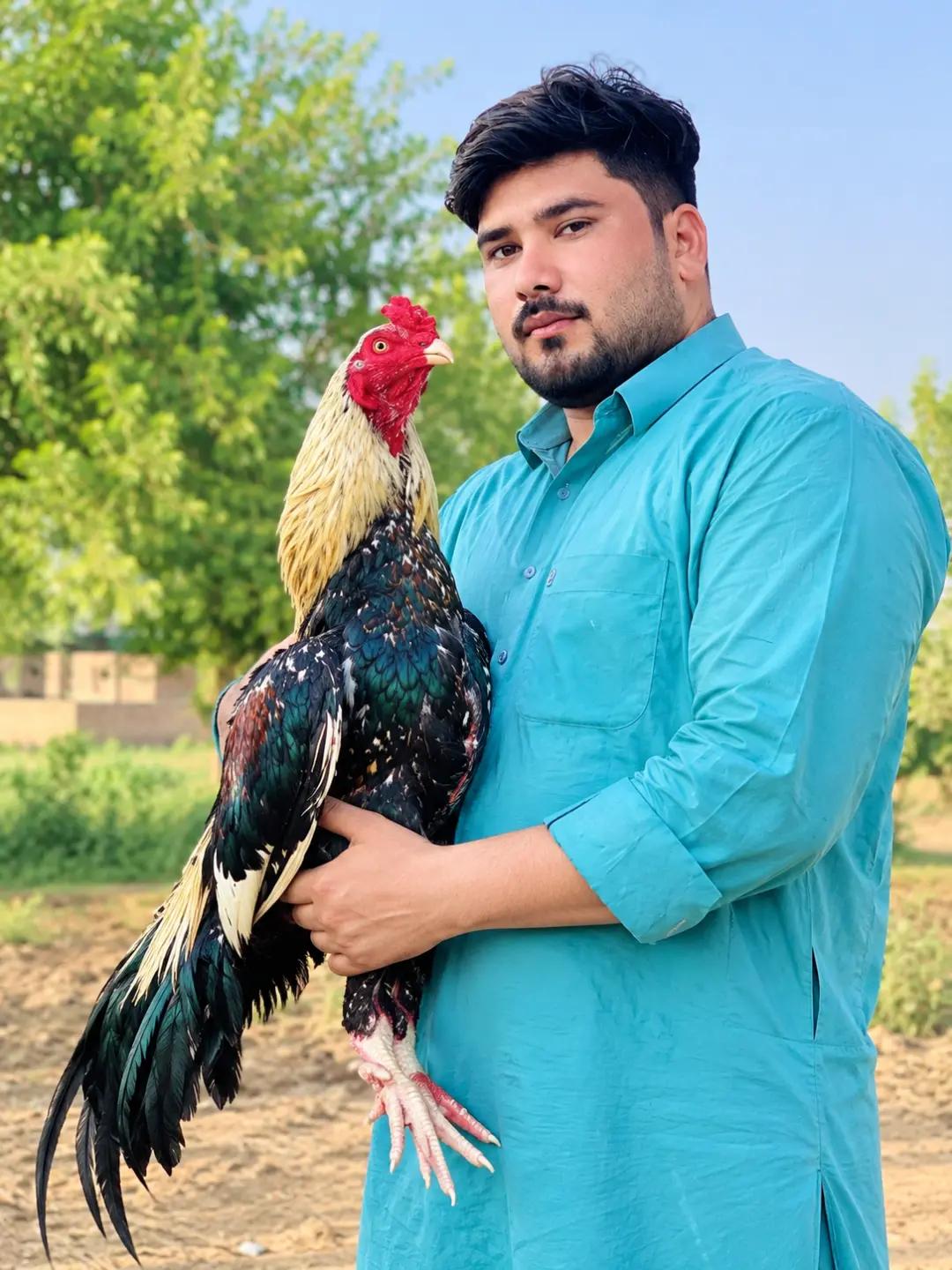 @Nawabsyed