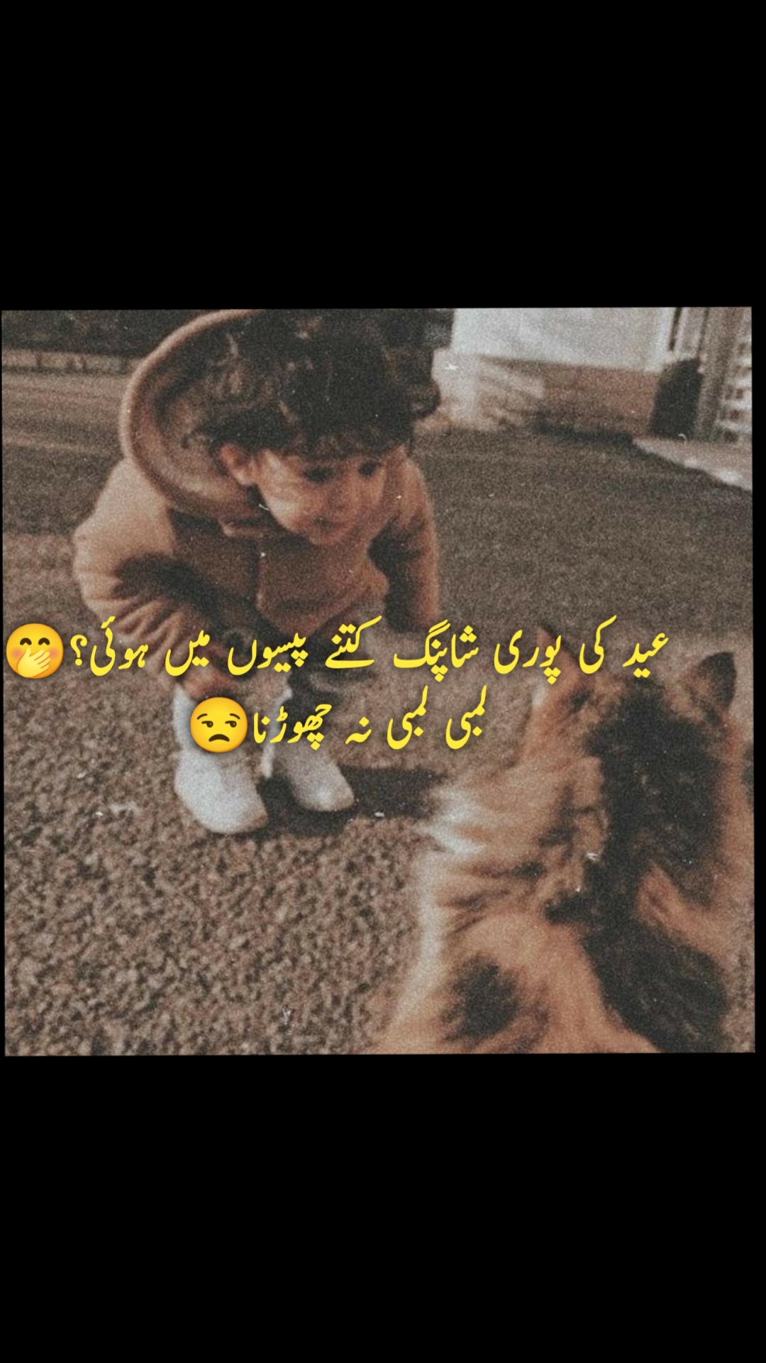 @Ayeshafatima6
