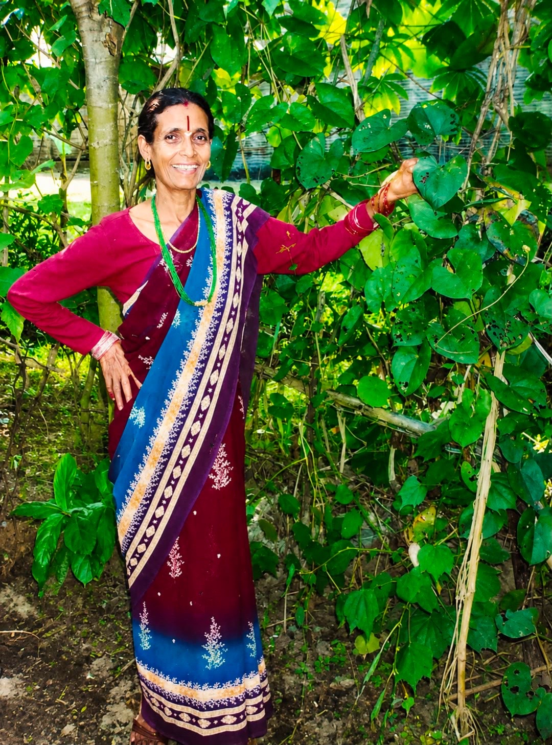 @bhagirath