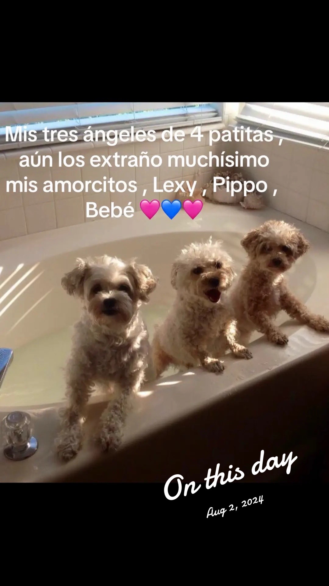 @Alexy Canno