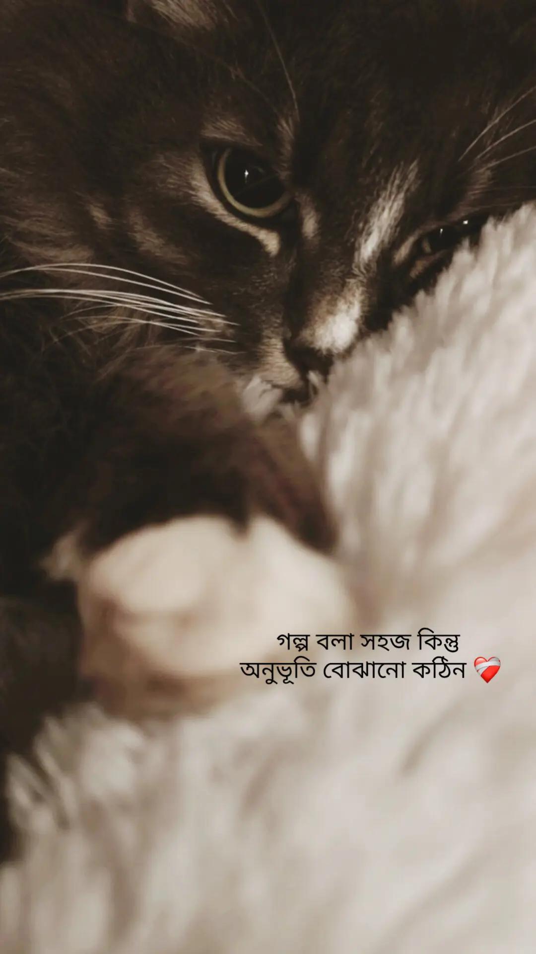 @Tamuuđ