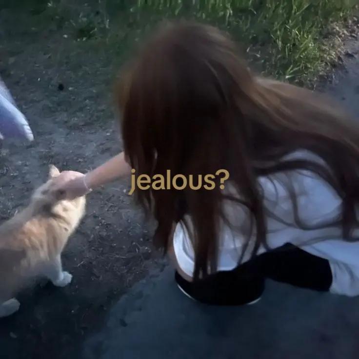 @Jia