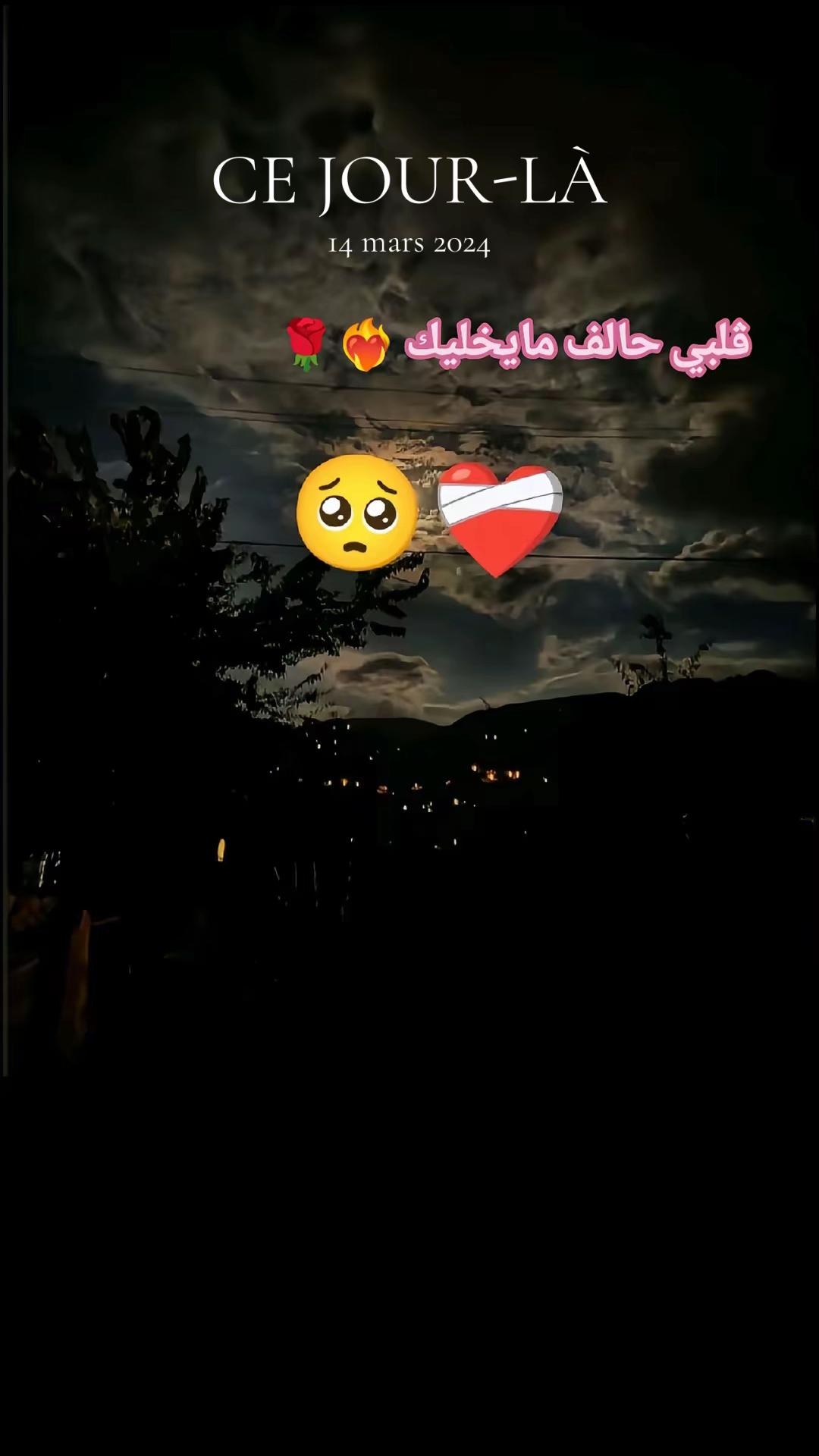 @yassindenden2