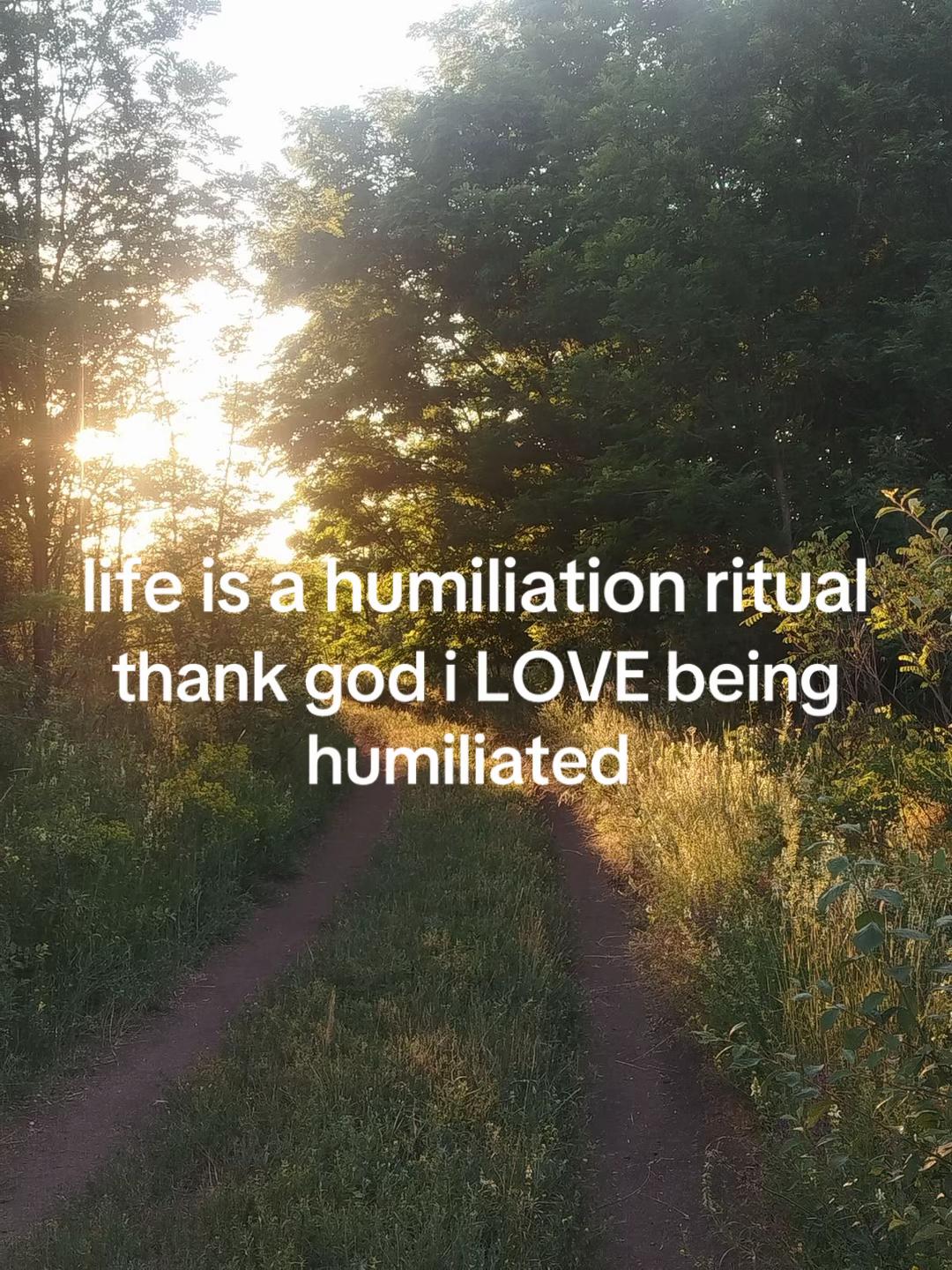 @bea 🐝