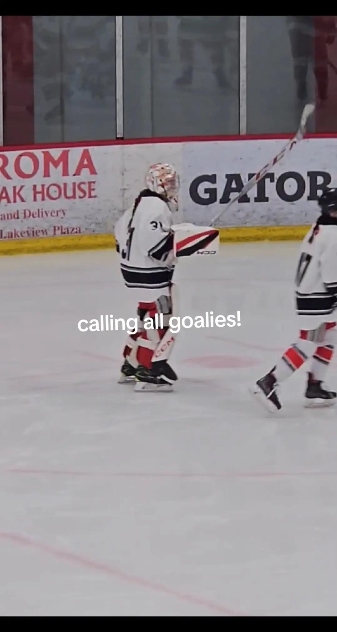 @tiktokgoalie 2.0