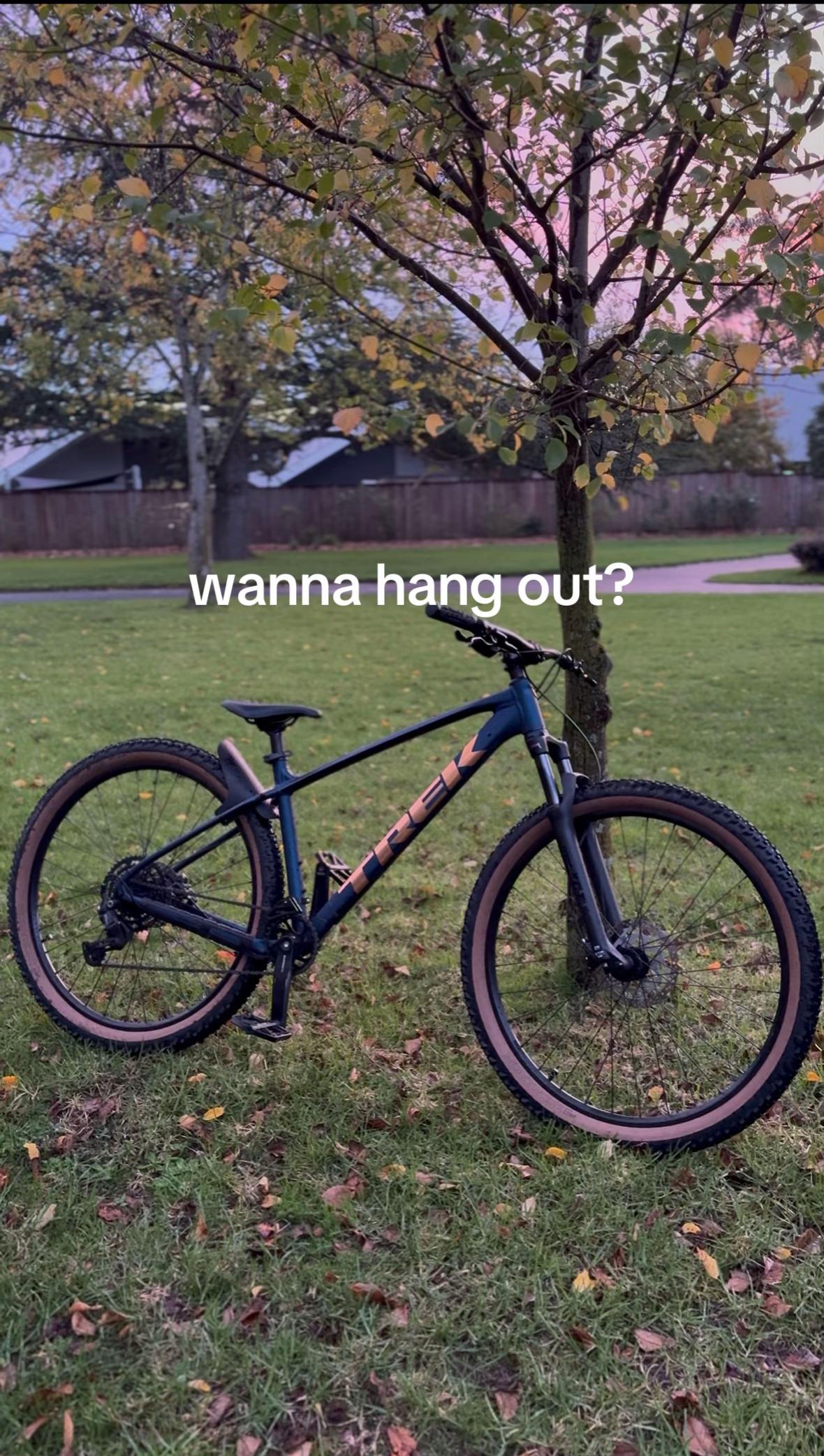 @tomvdc