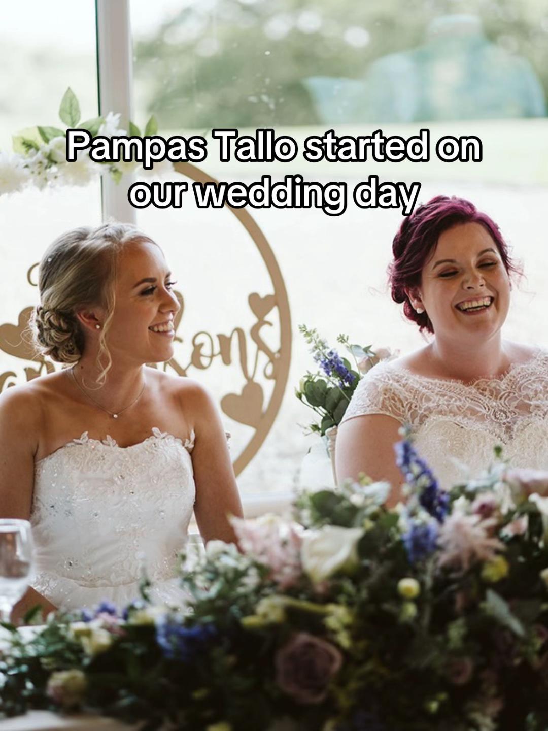 @Pampas Tallo