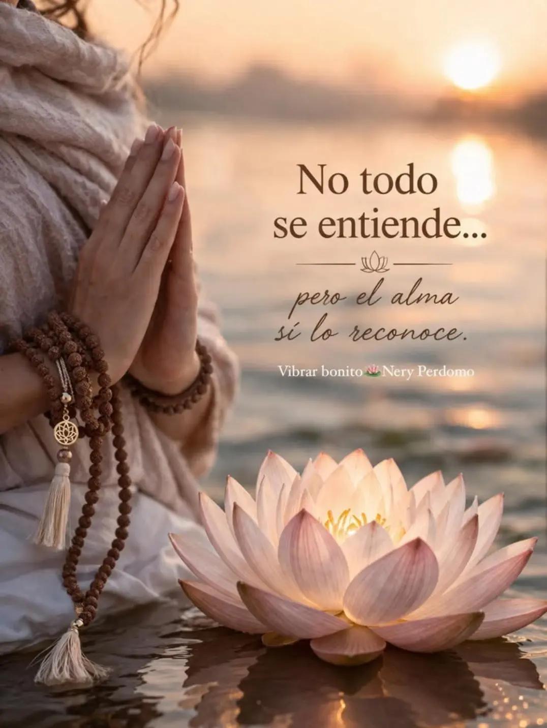 @Ingrid Moreno