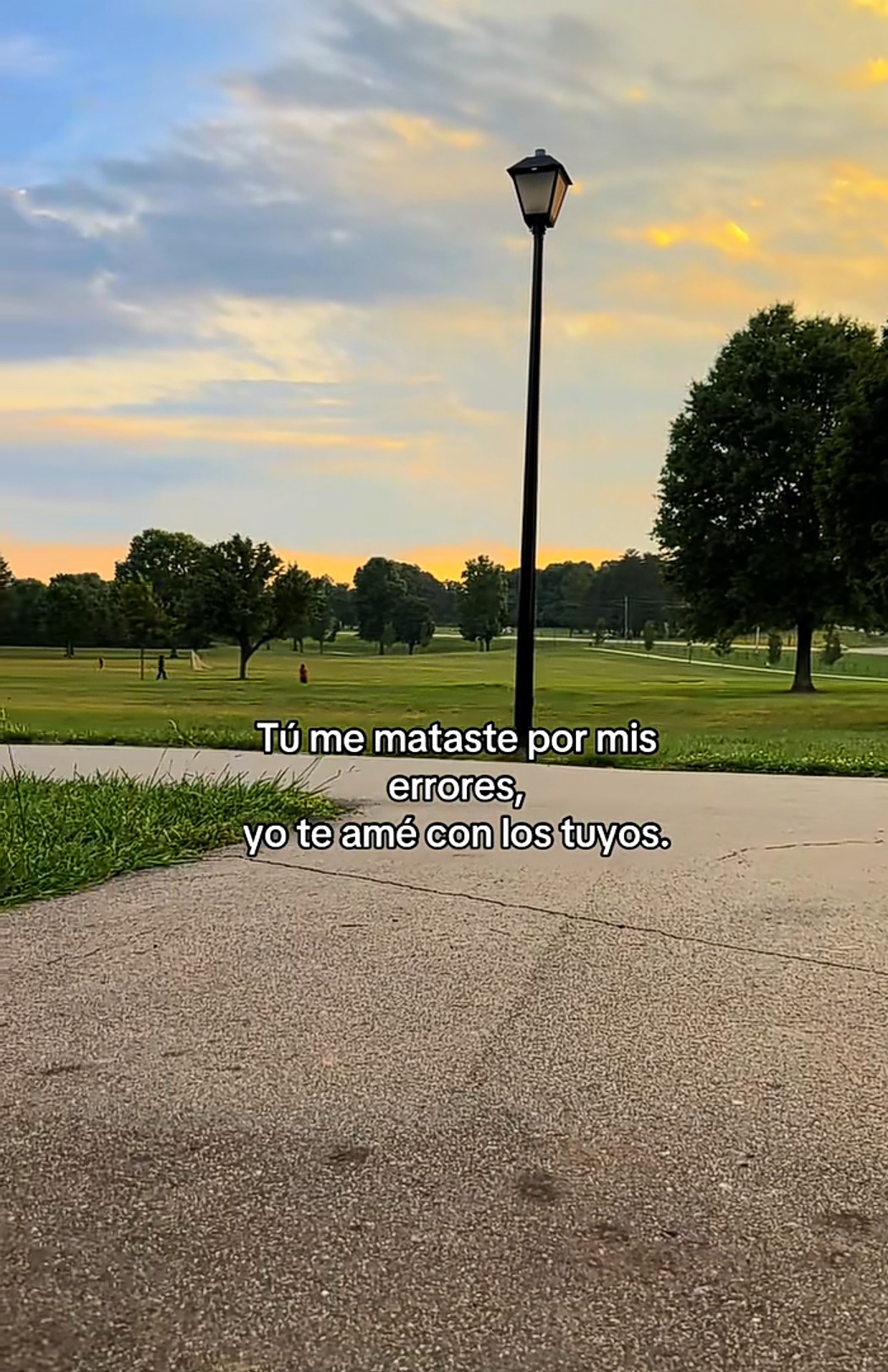 @Andre🌻