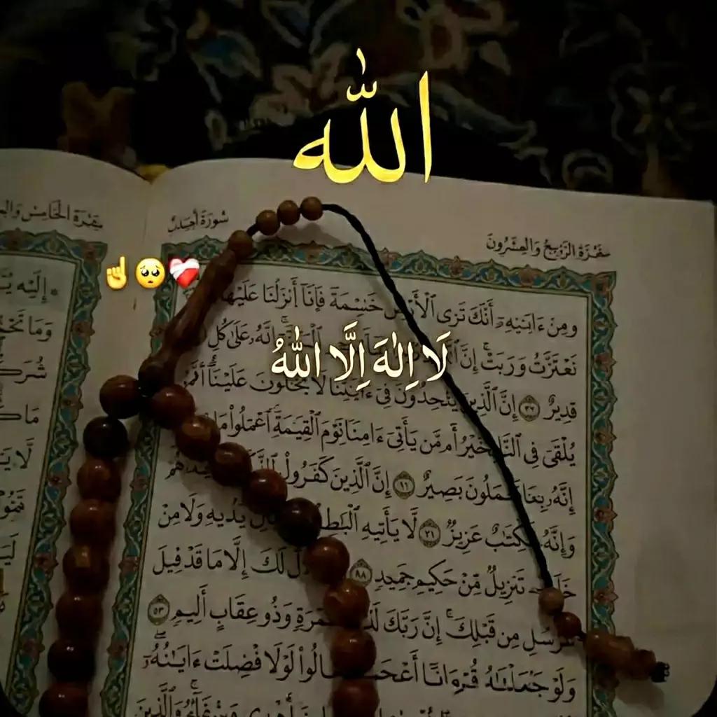 @🚩شاہ جی کہتے ہیں🚩