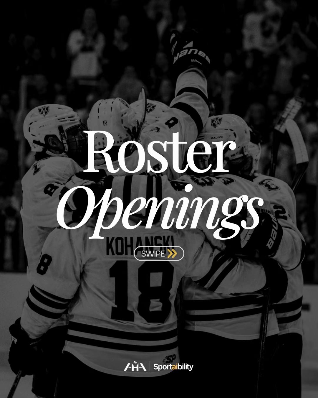 @Advancement Hockey Agency
