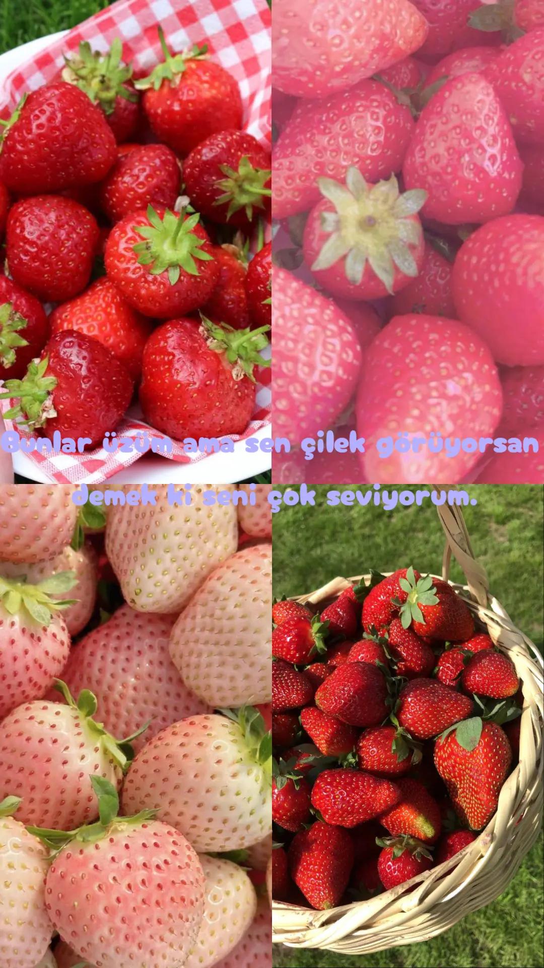 @★~ 𝖭𝗂𝗌𝖺 ~★