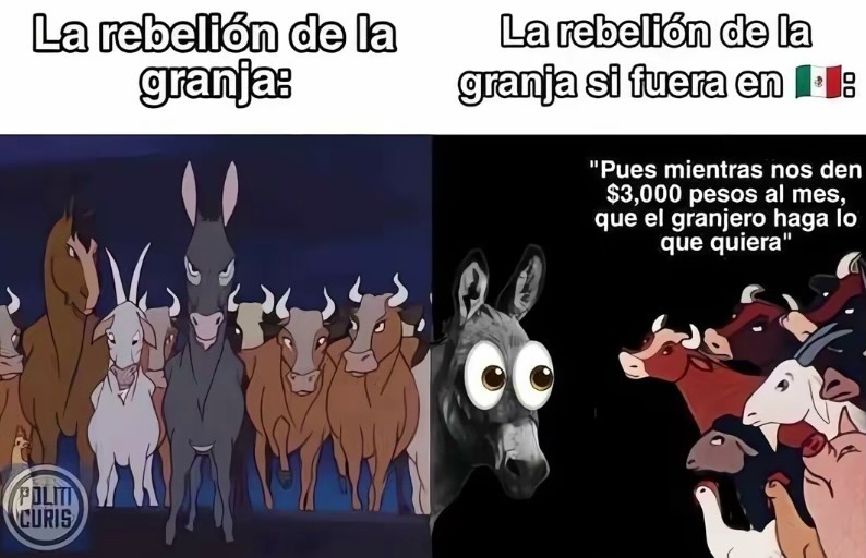@Rualmx