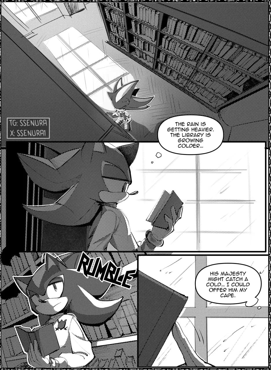 @sonadow.03