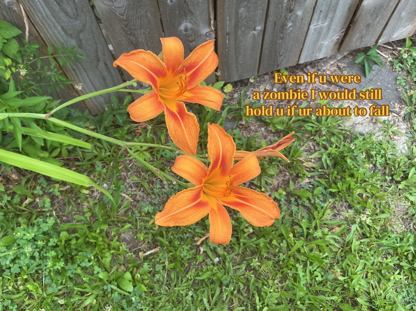 @unknown