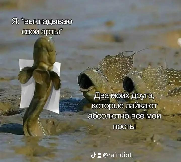 @Raindiot