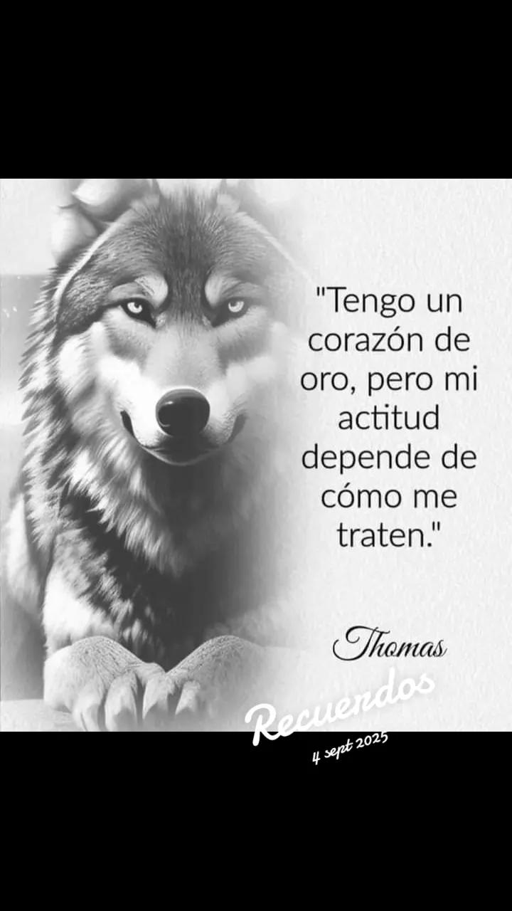 @Wolf nightmare universe