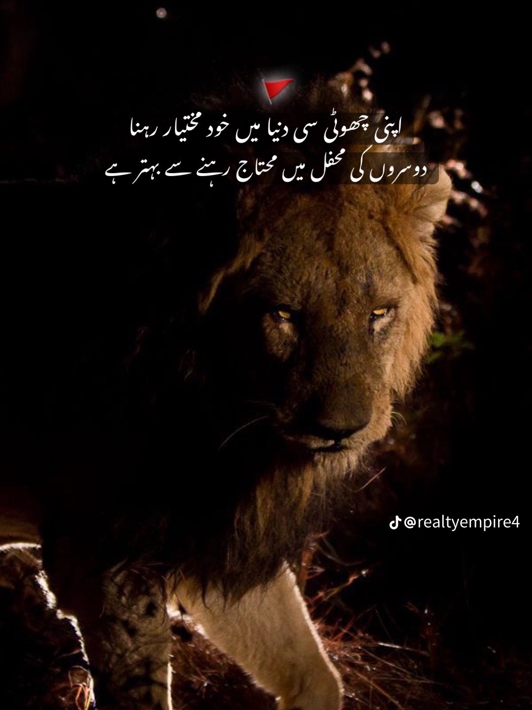 @sufyanworld2