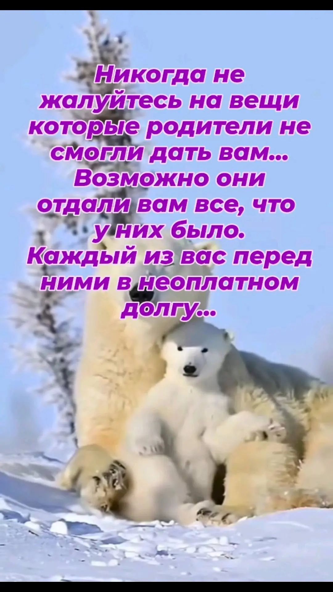 @❤️❤️ЛюбовьМорковь❤️❤️