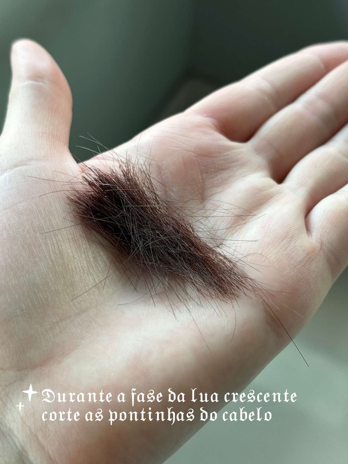 @Millene | Bruxa Mística ๐ฎ๐