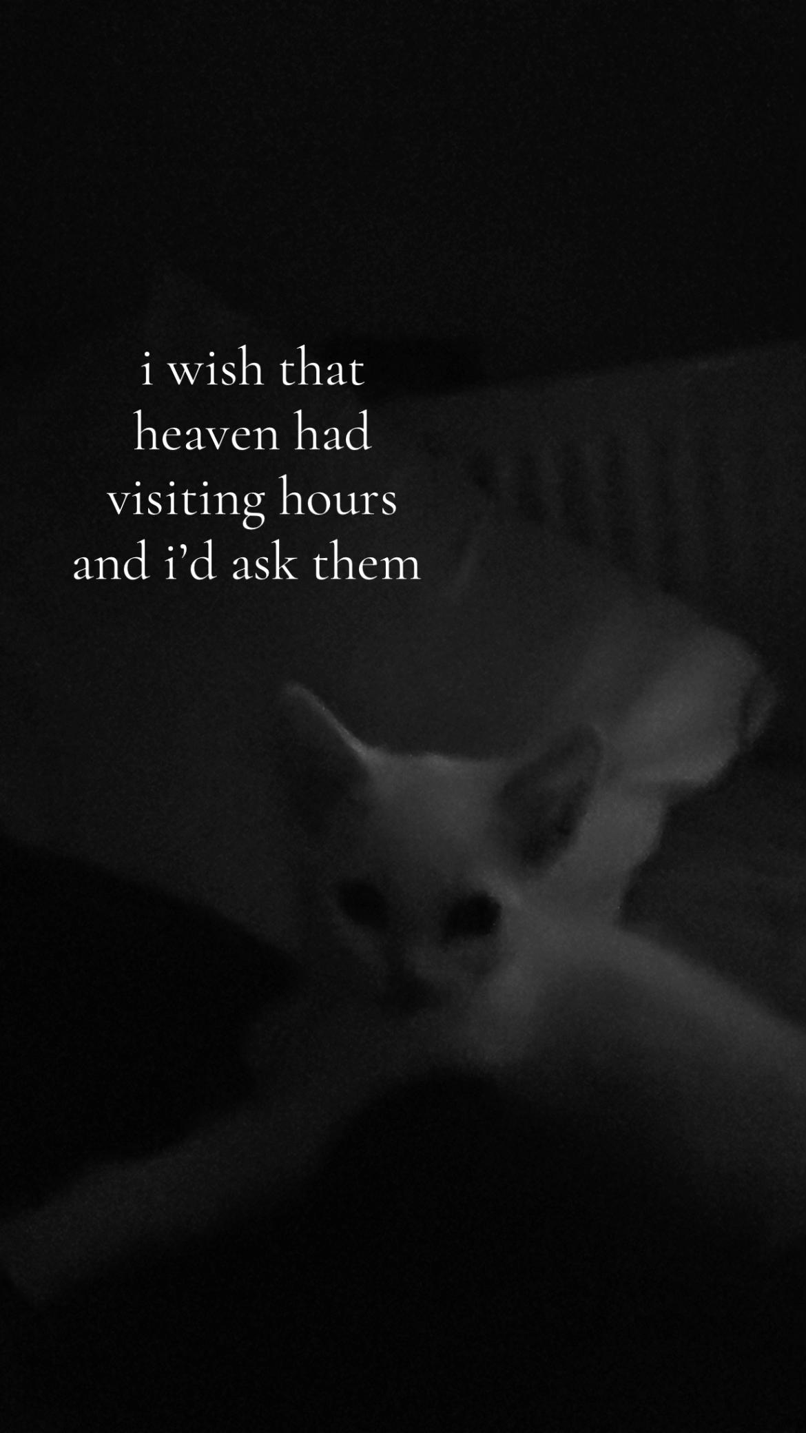 @𝓴𝓪𝓽𝓲𝓮ꨄ︎