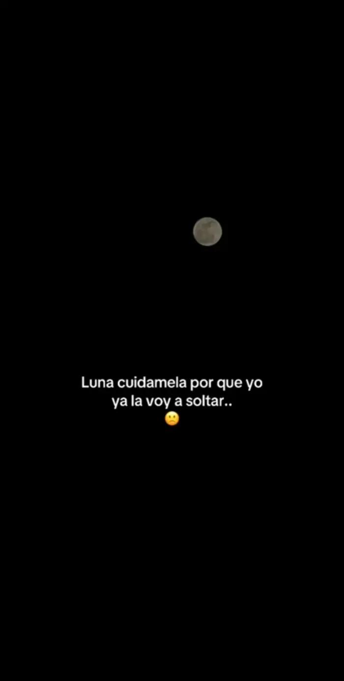 @frases_4497