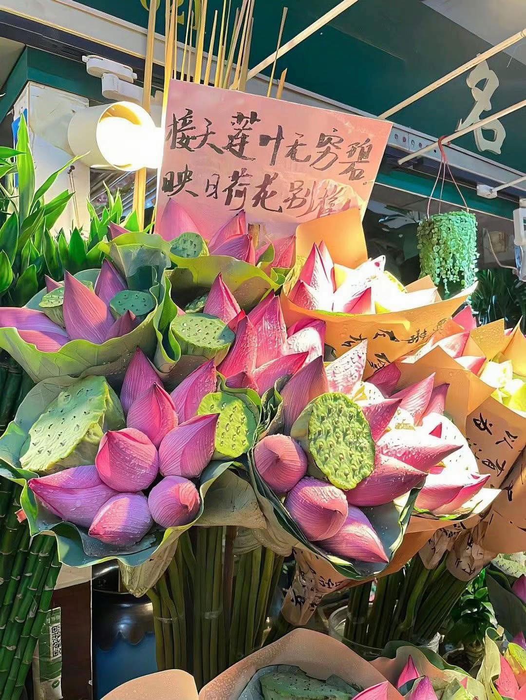 @茉莉✨🪷