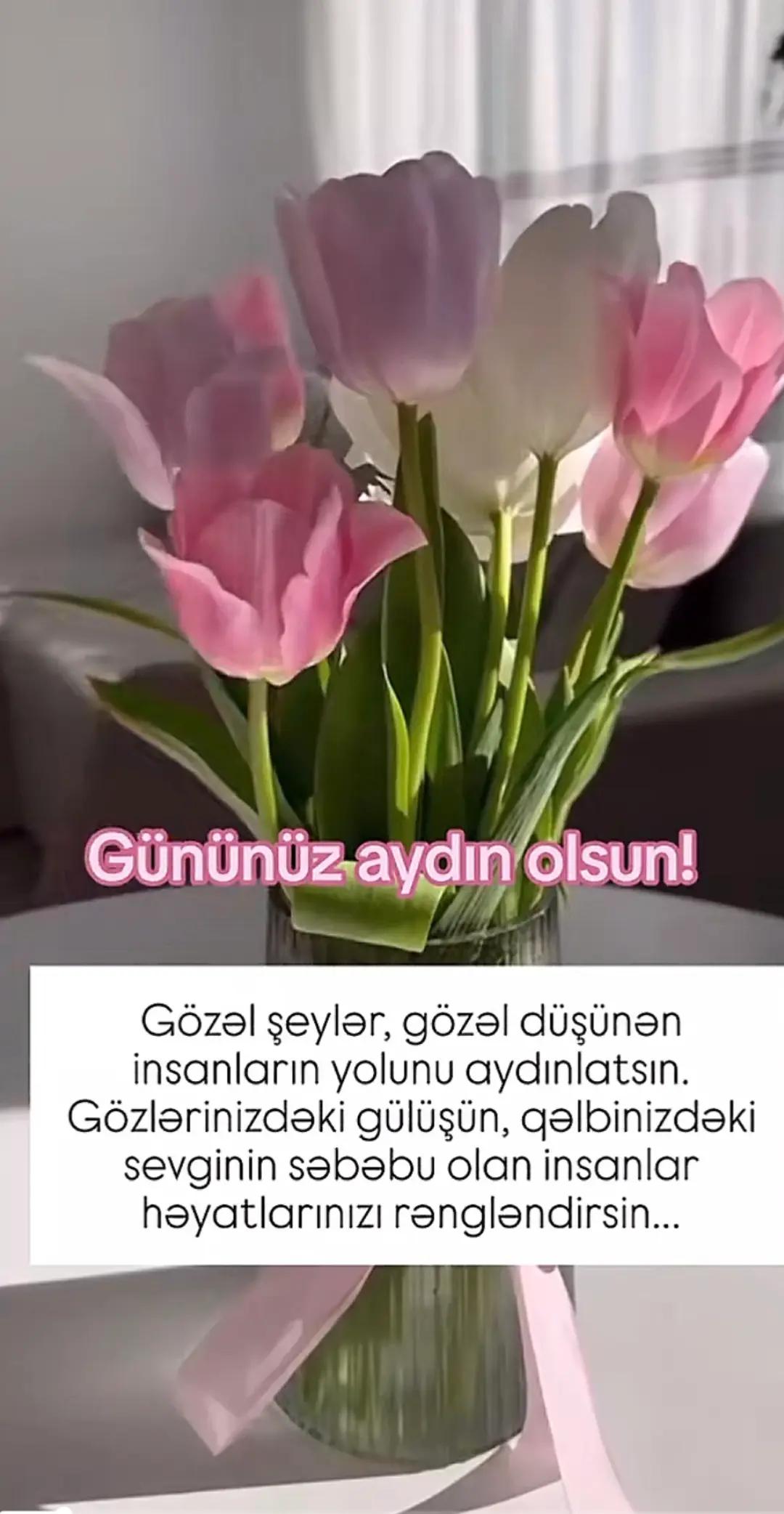 @Xəyalə