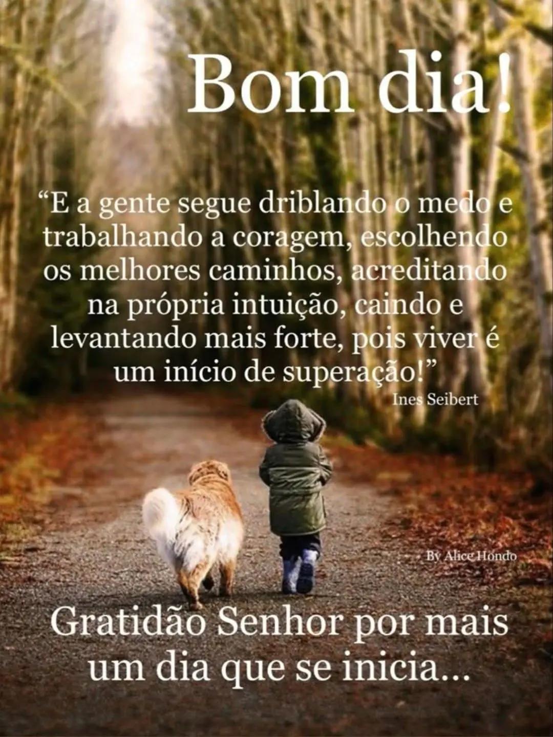 @valdo-lima