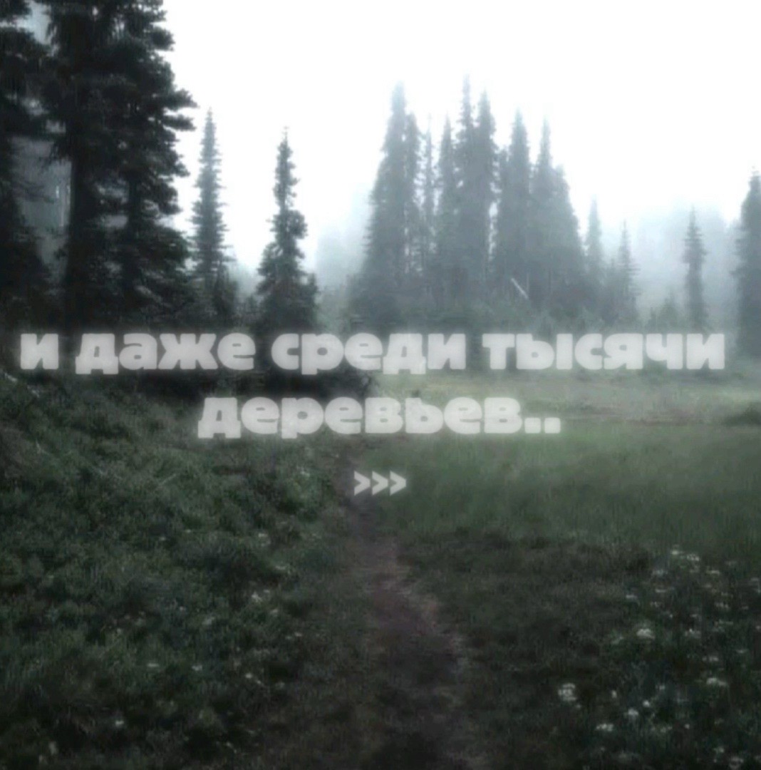 @Аᴩᴄєній Бᴀᴩхᴏᴛ