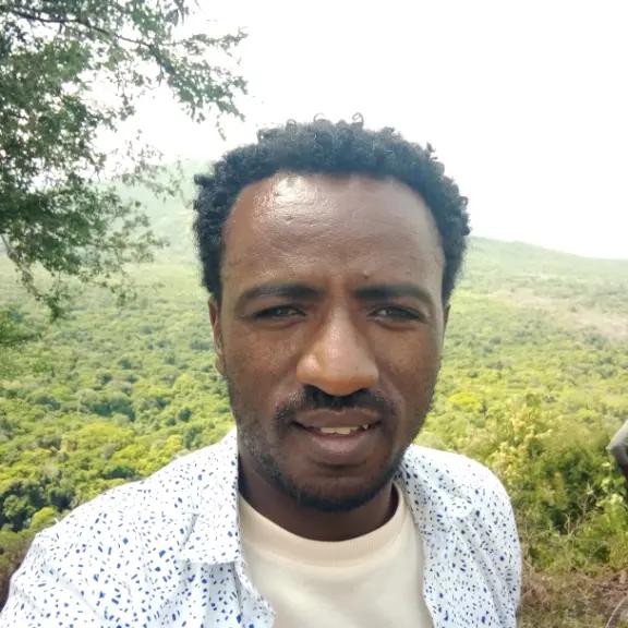 @desta daniel creator.search.in