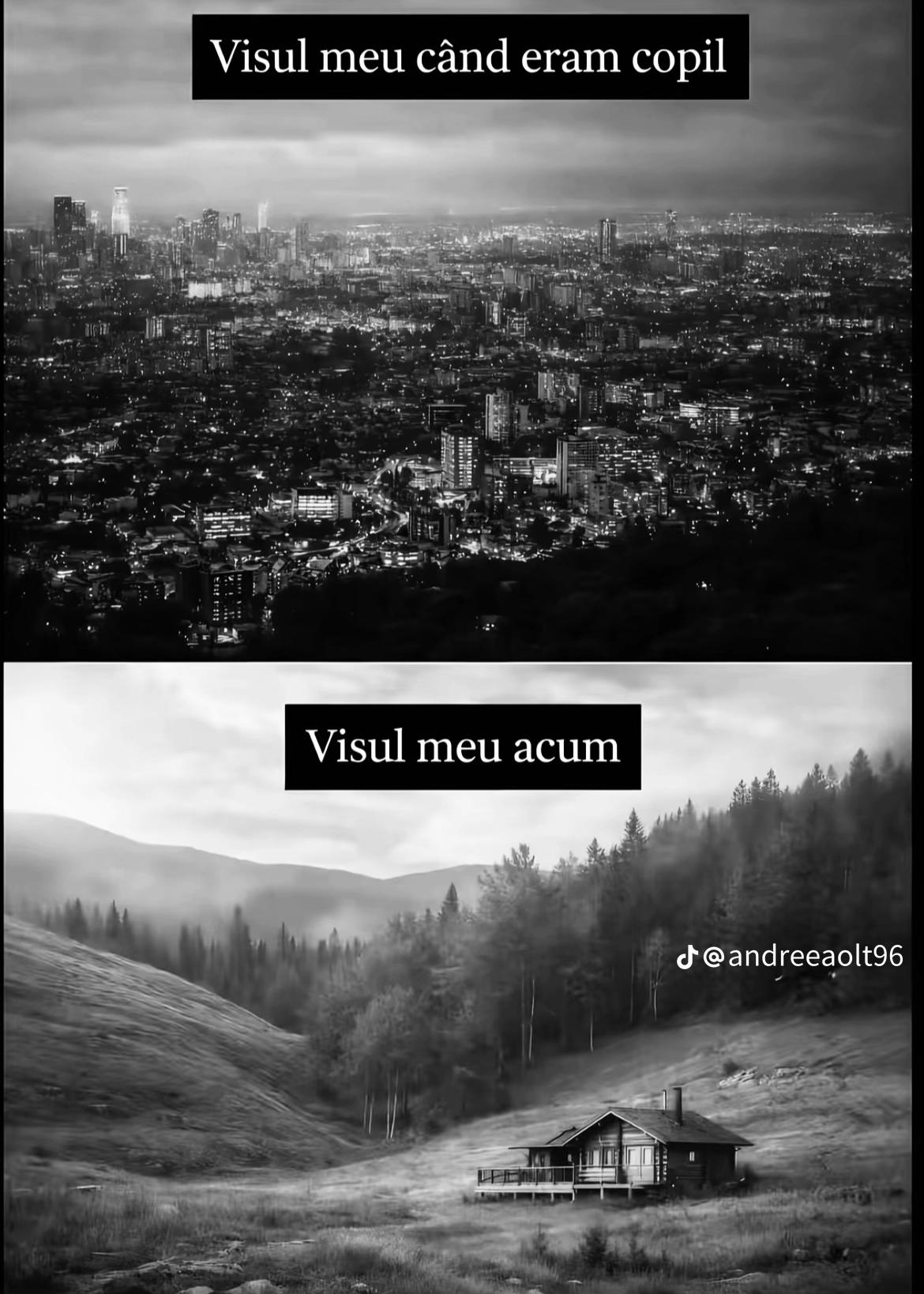 @Andreea Maria Baciu