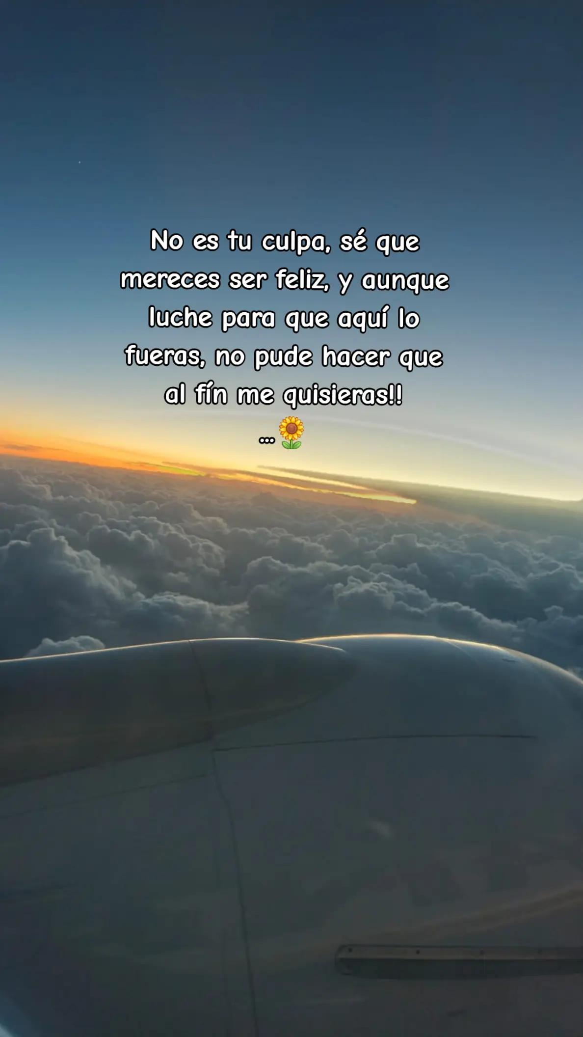 @🌻 Nalle 🌻