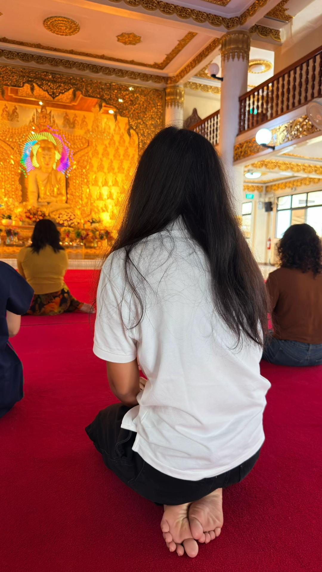 @๐๐ชดฤฤฅô