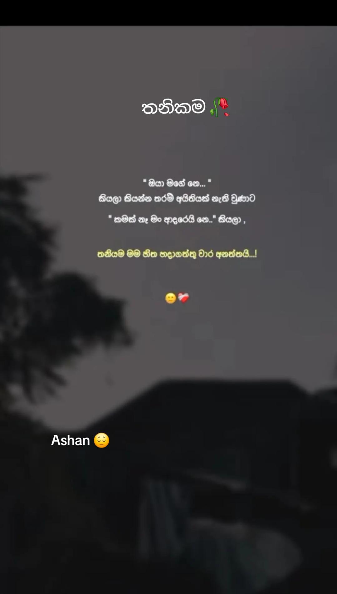 @🇱🇰🎤තනිකමේ🩸🎵🎤 විසේකාරයා🩸