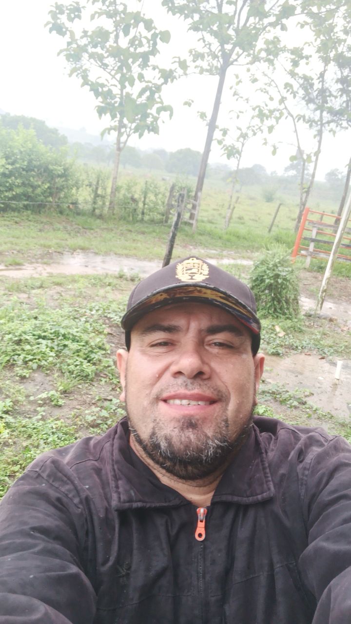 @arquiles