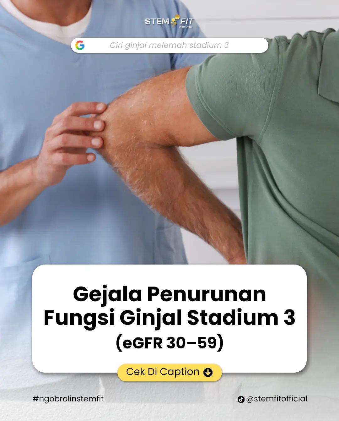 @Stemfit Official