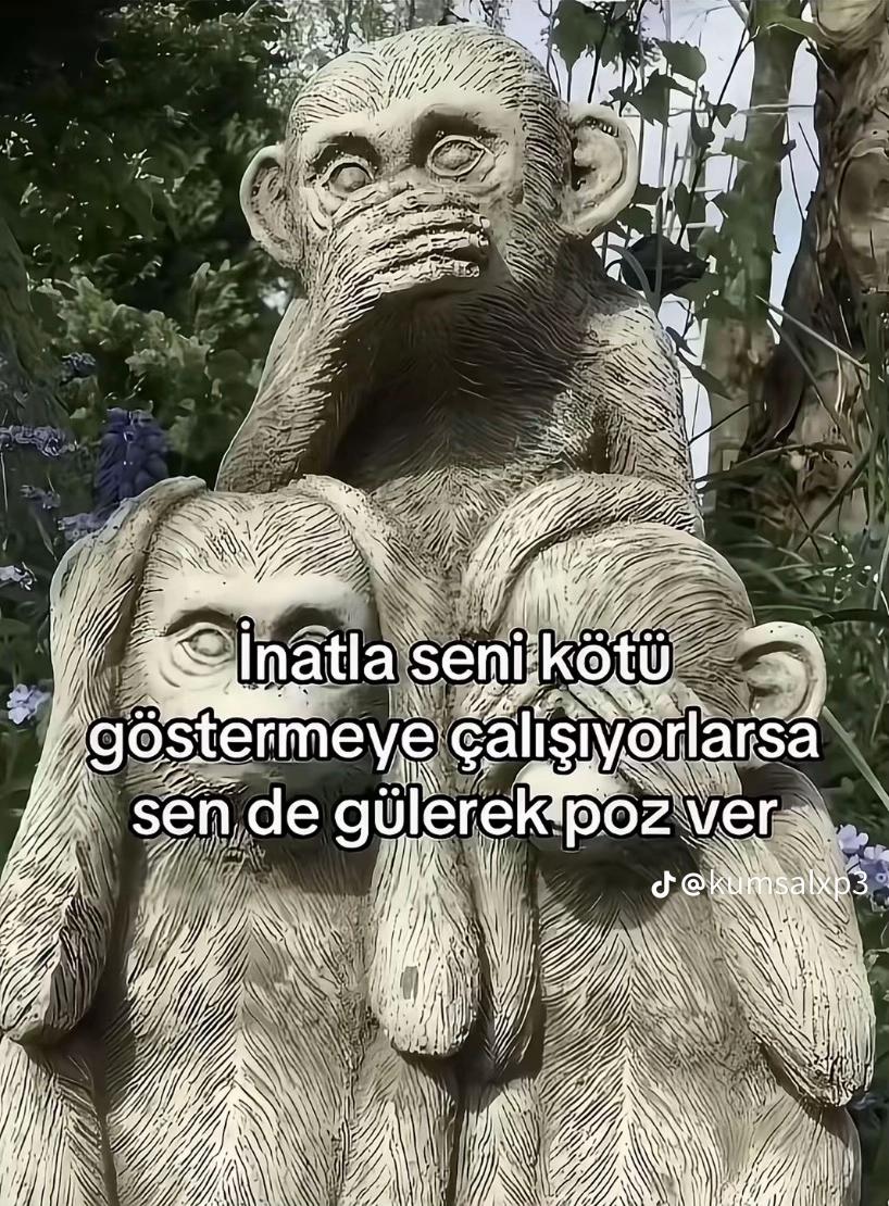@sefa gedik
