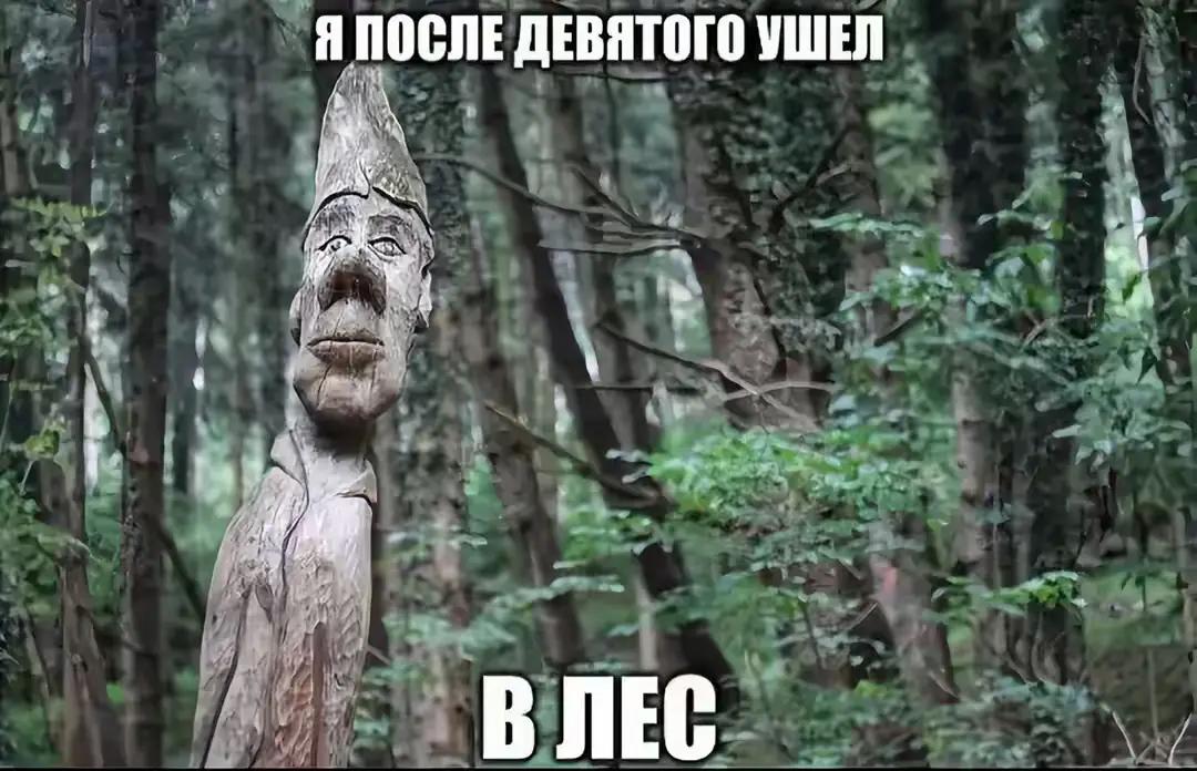 @PATISON