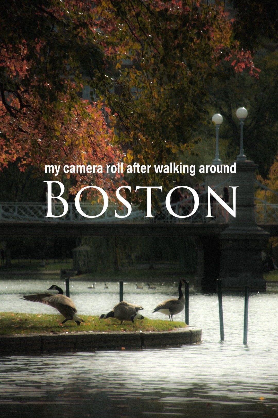 @Oscar&rsquo;s Viewfinder