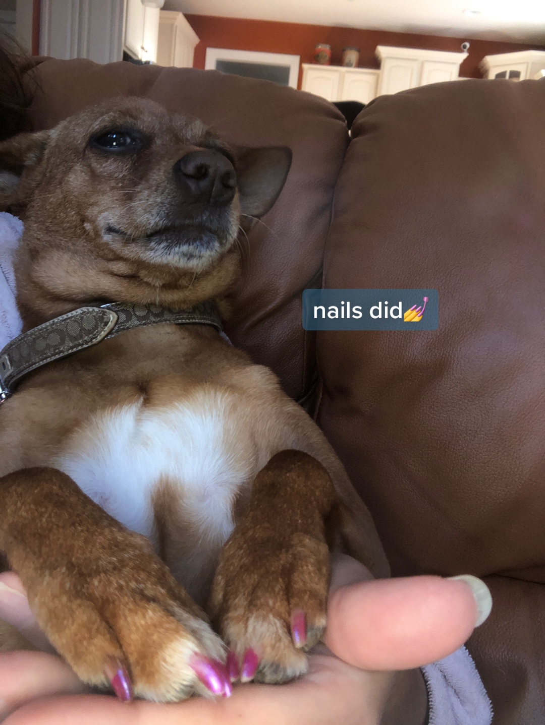 @emma