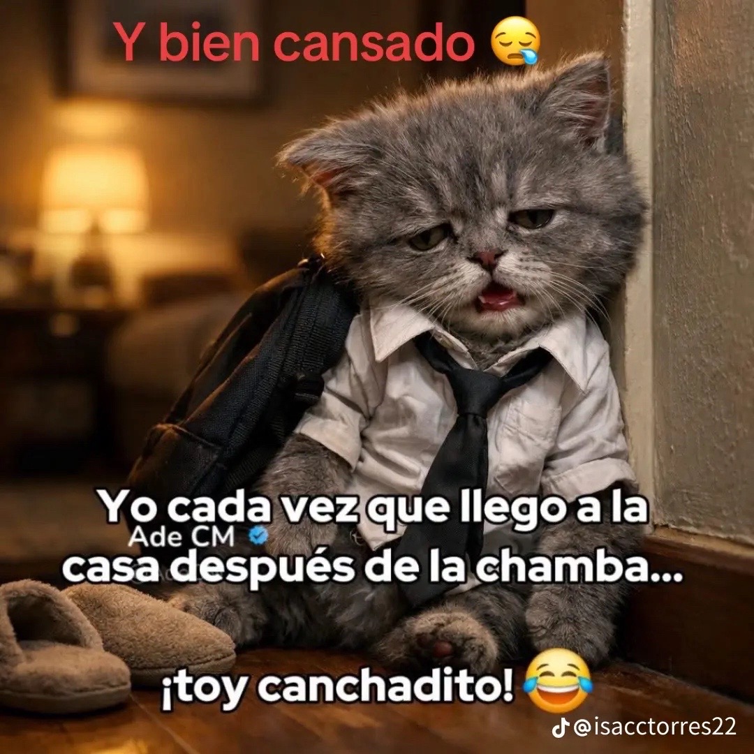 @flacaperez2