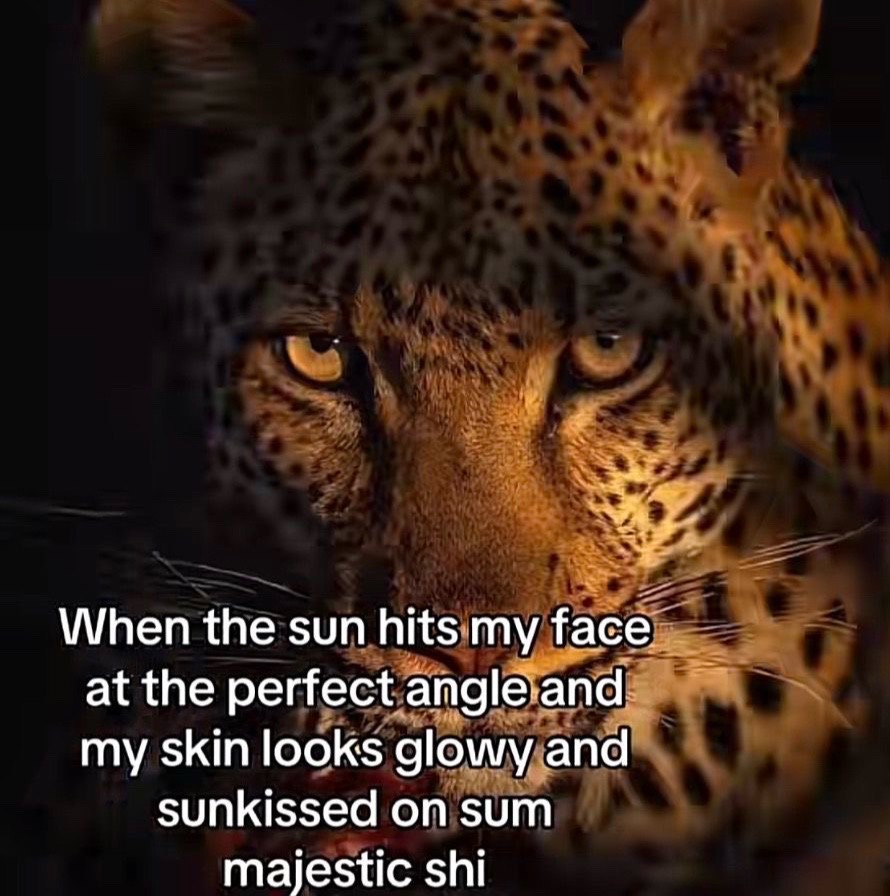 @❤️&zwj;🔥❤️&zwj;🔥.
