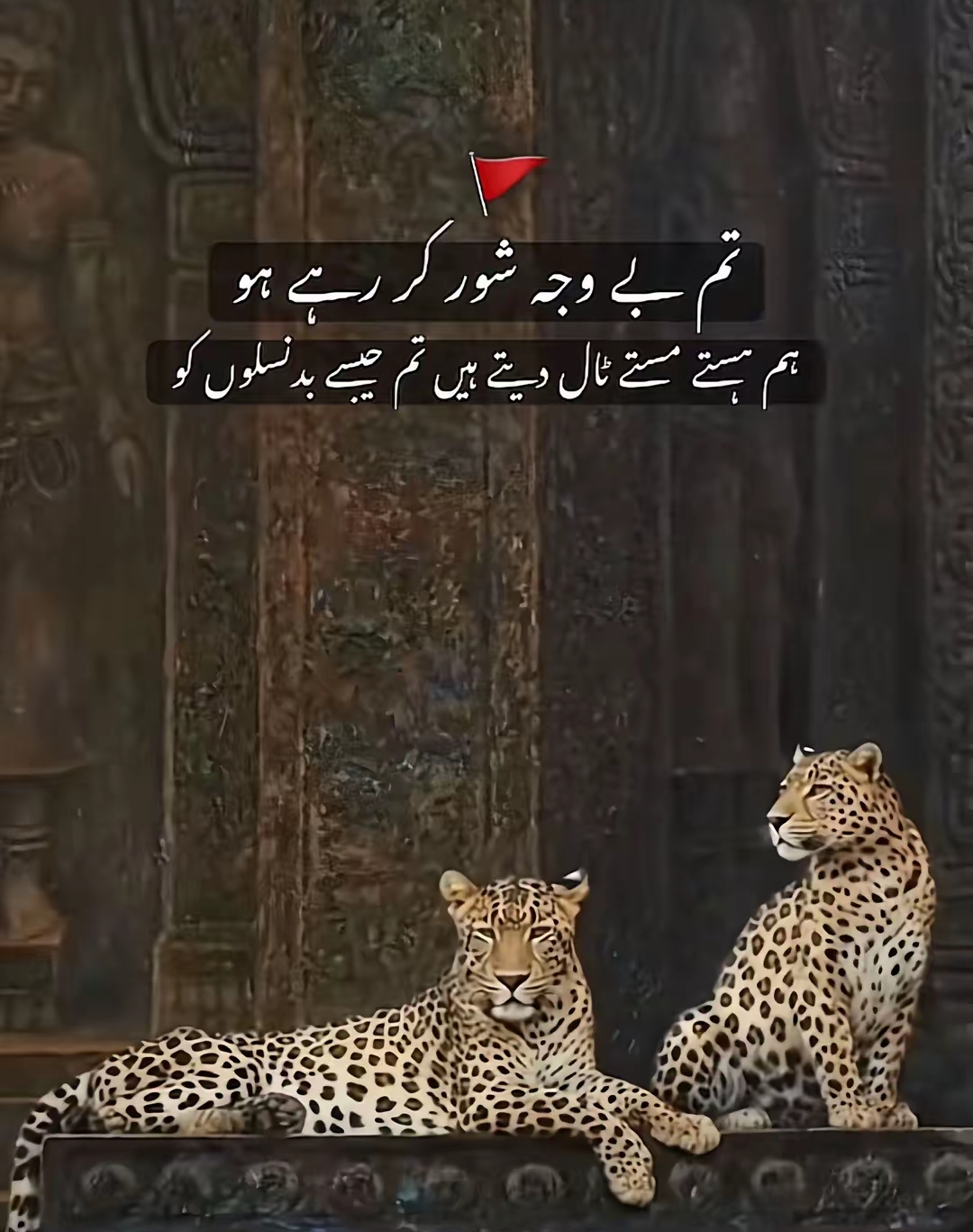 @💛حسیب⚡راجپوت💛