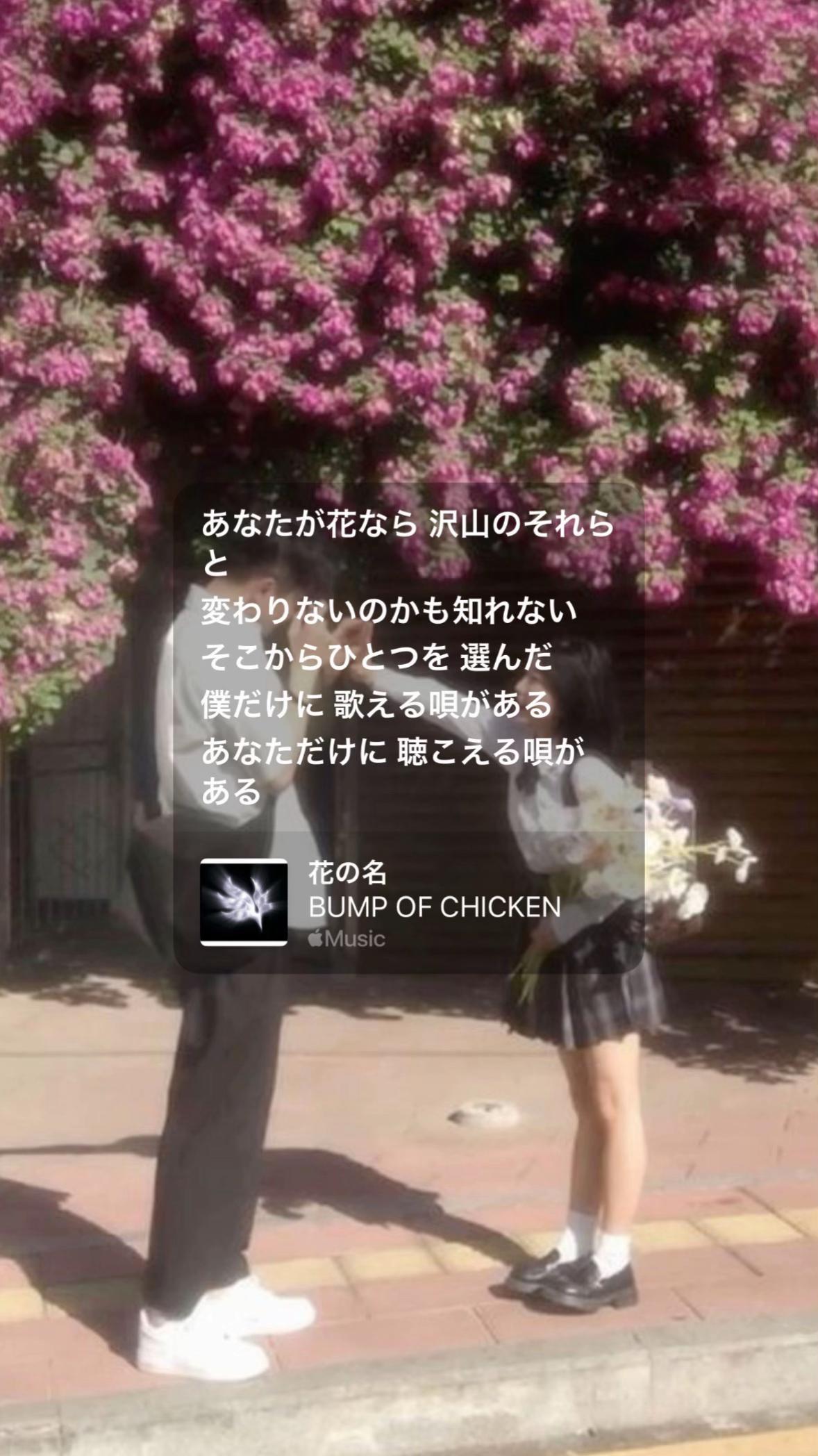 @曲紹介
