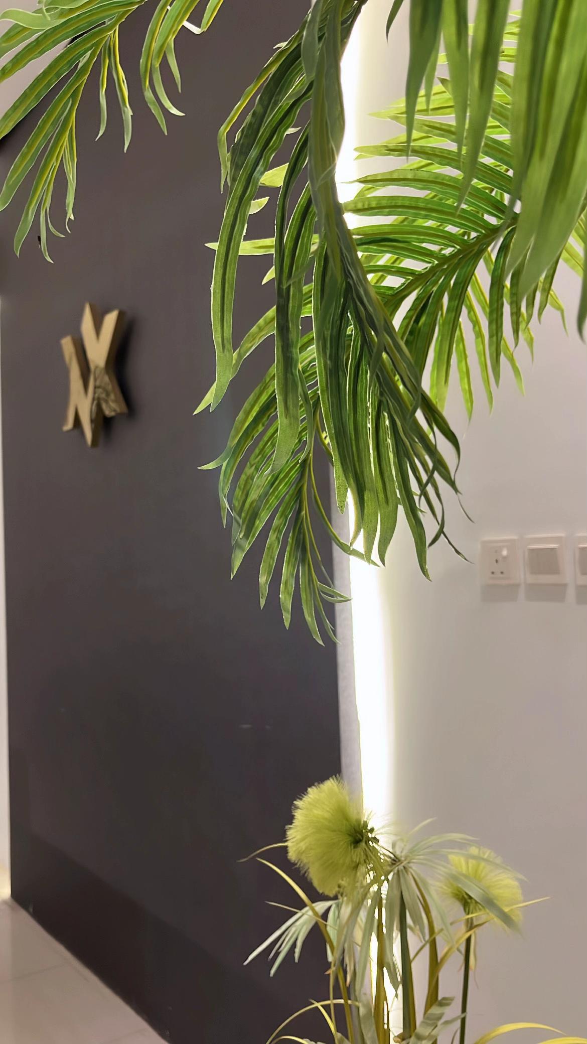 @بلوقر | الرياض🐈
