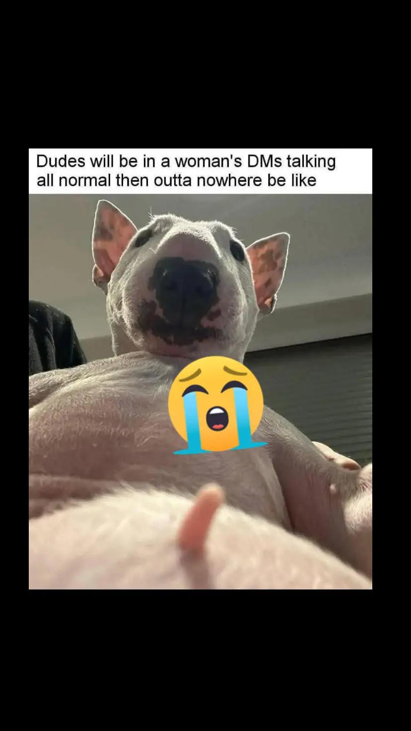 @Mommabear1075
