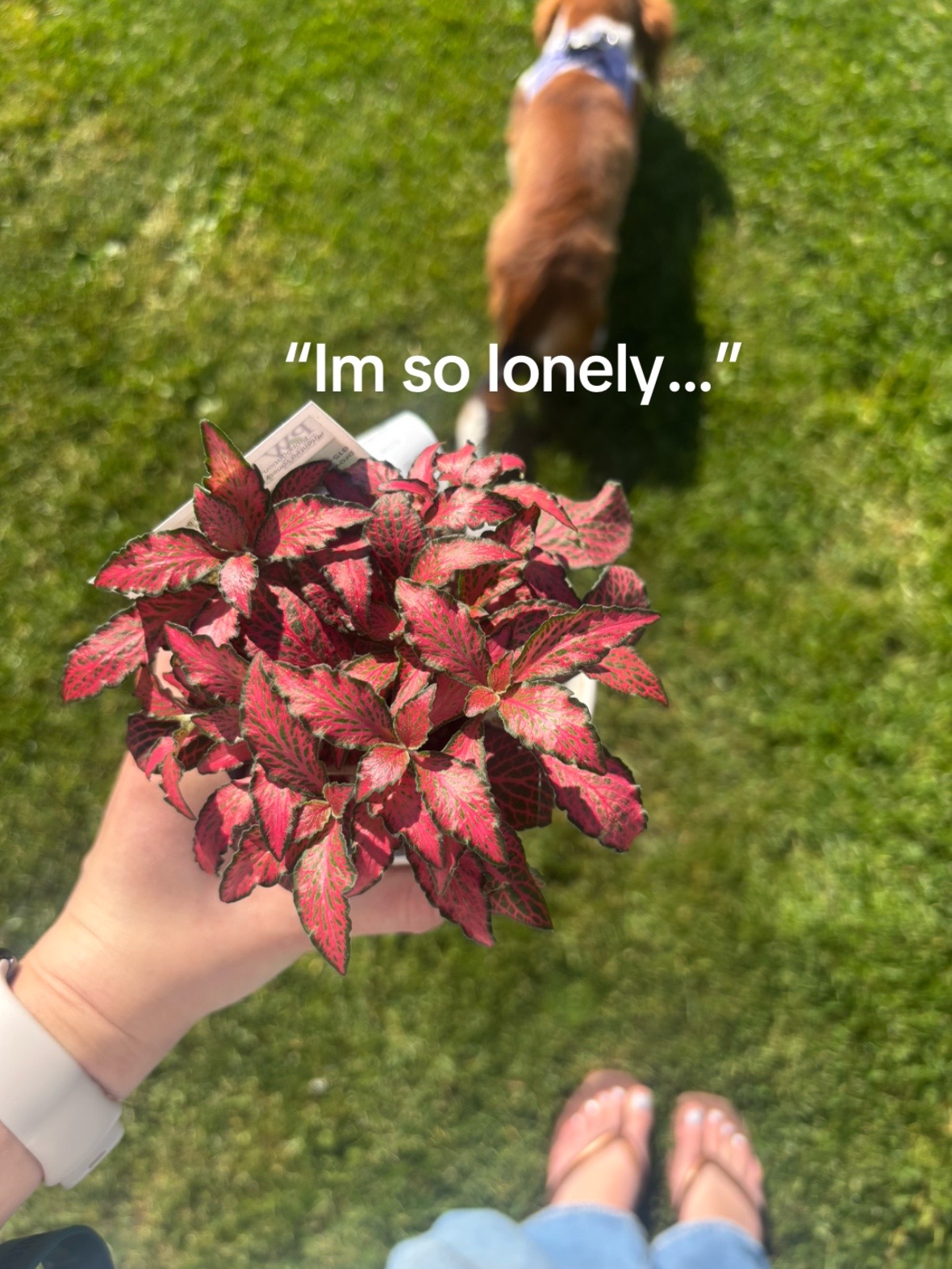 @Lauryn 🌺