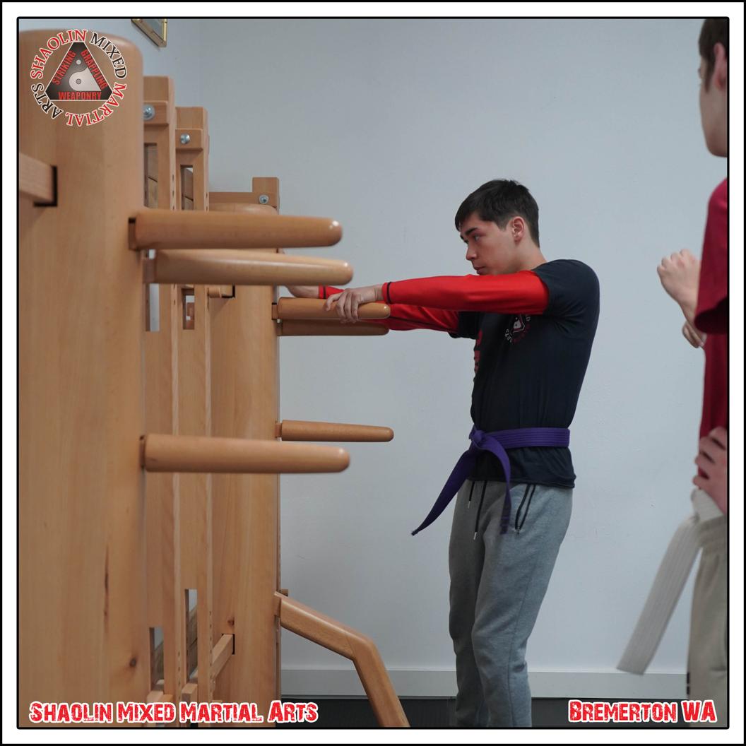 @shaolinmixedmartialarts